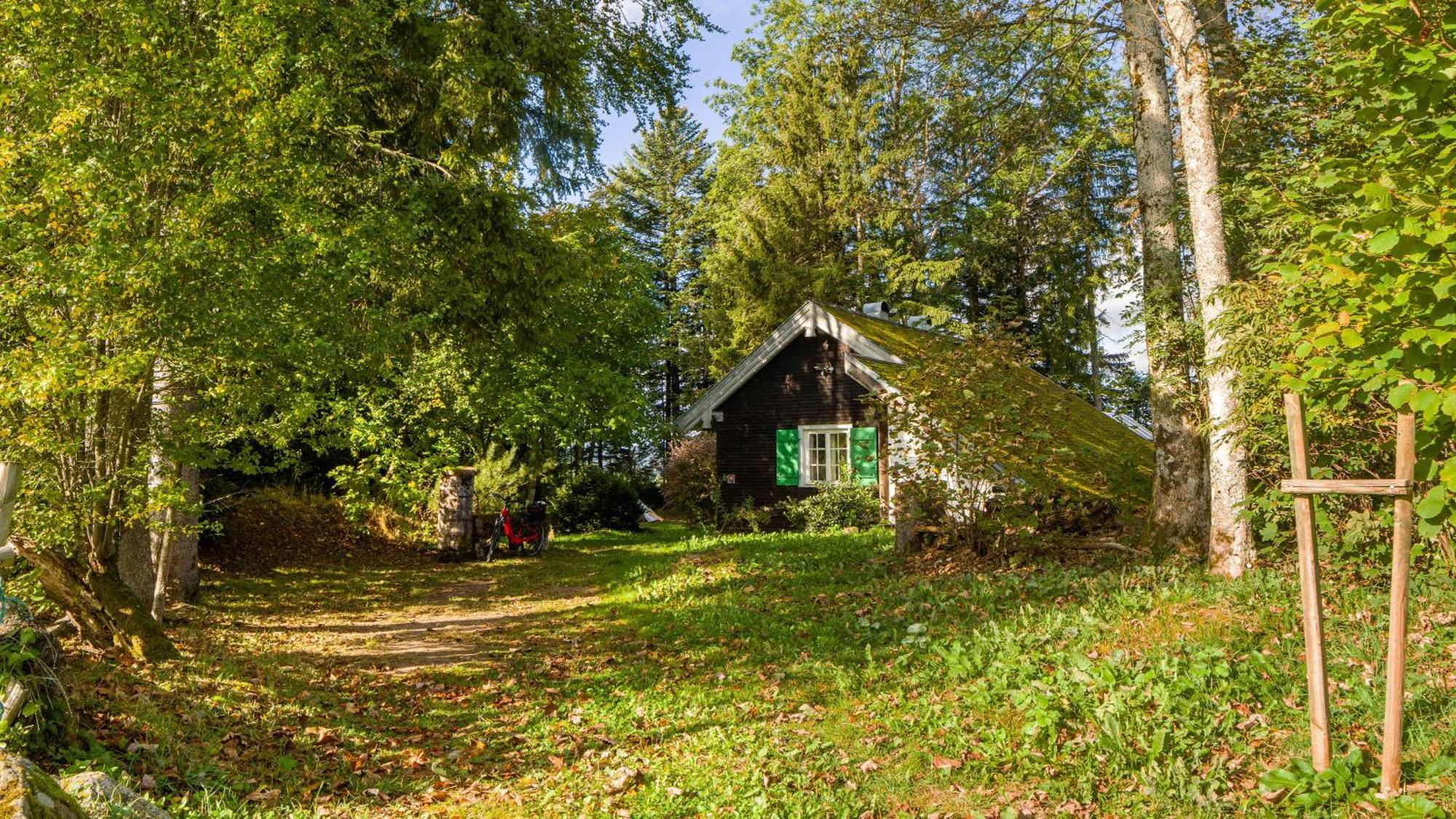 Das Schneiderhaus Höchenschwand Buitenkant foto